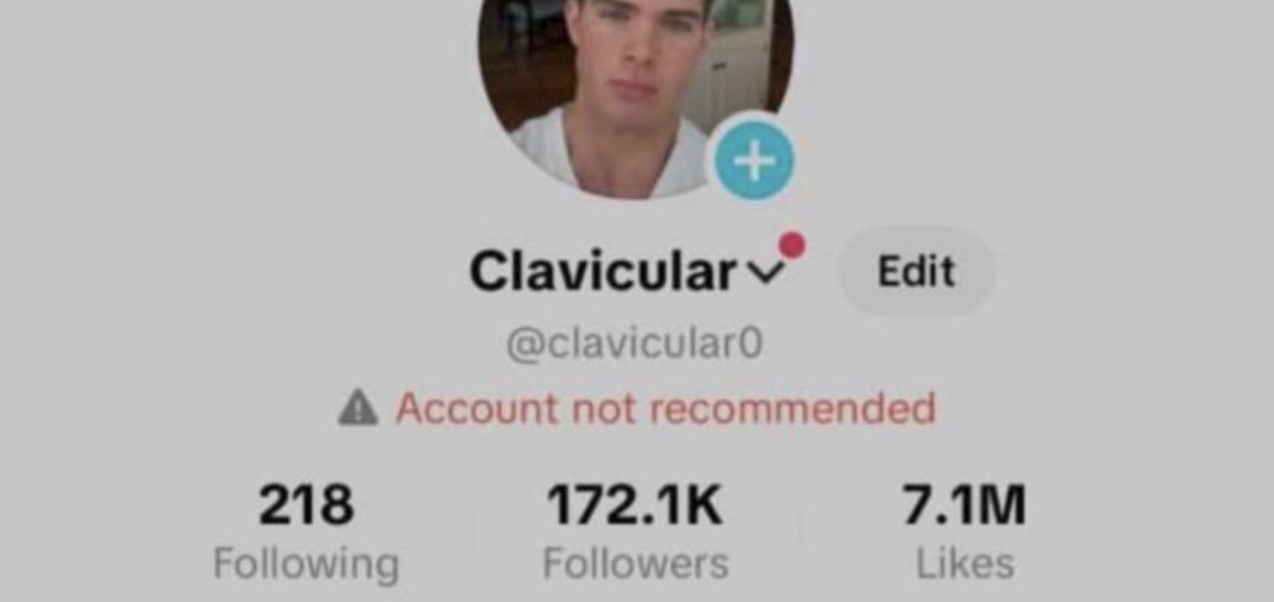 TikTok account flagged 'account not recommended' — fixed by Pin Media
