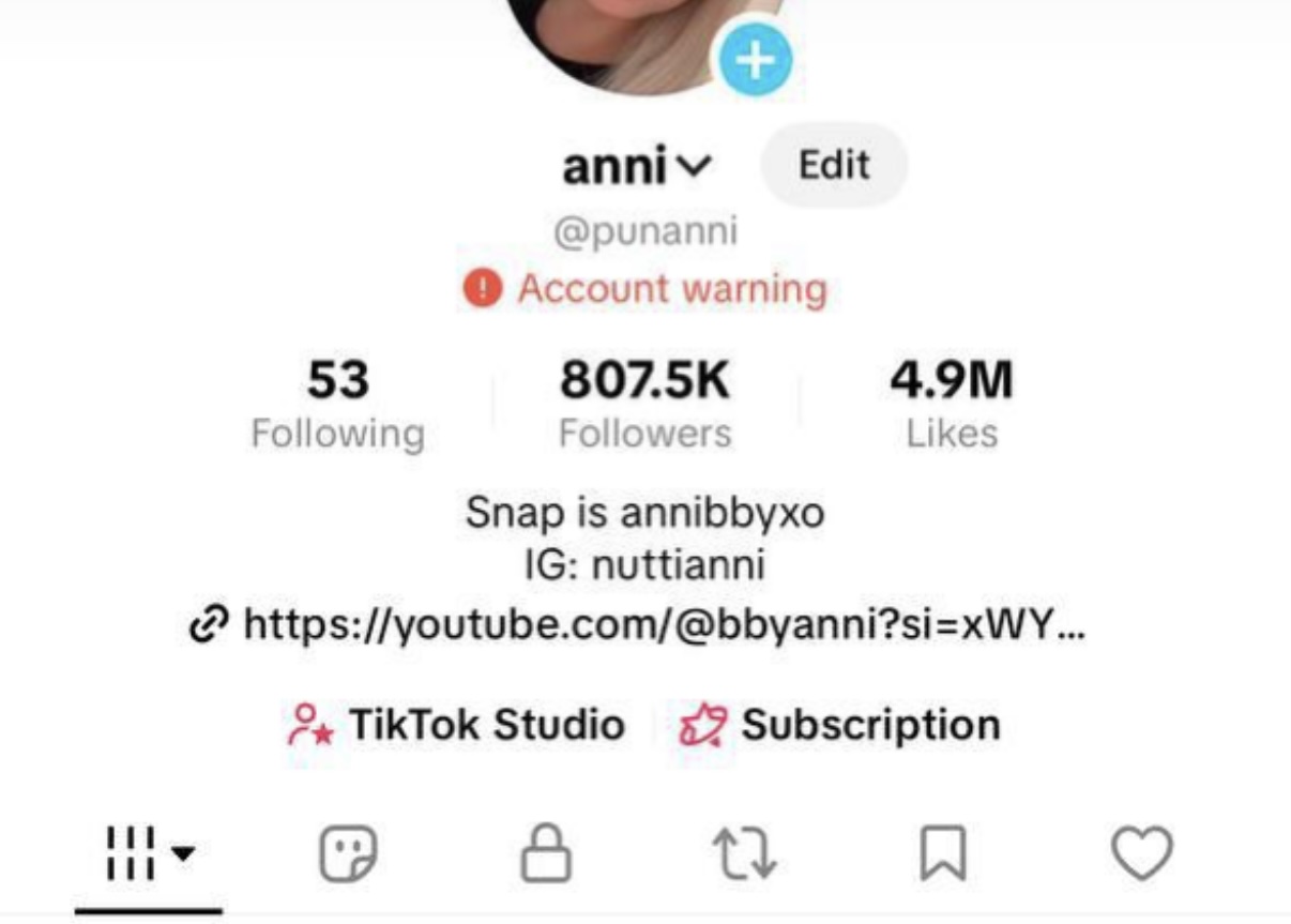 TikTok account warning — fixed by Pin Media